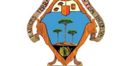 Ajuntament del Pinós